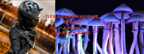 крисы Новодвинск