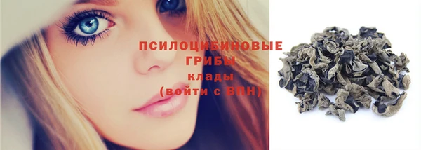 крисы Новодвинск