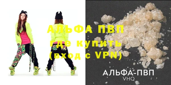 крисы Новодвинск