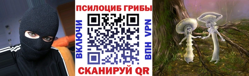 сколько стоит  Юрюзань  Галлюциногенные грибы мицелий 